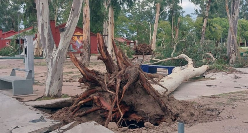 La tormenta ocasionó cuantiosos daños en Capital y el interior