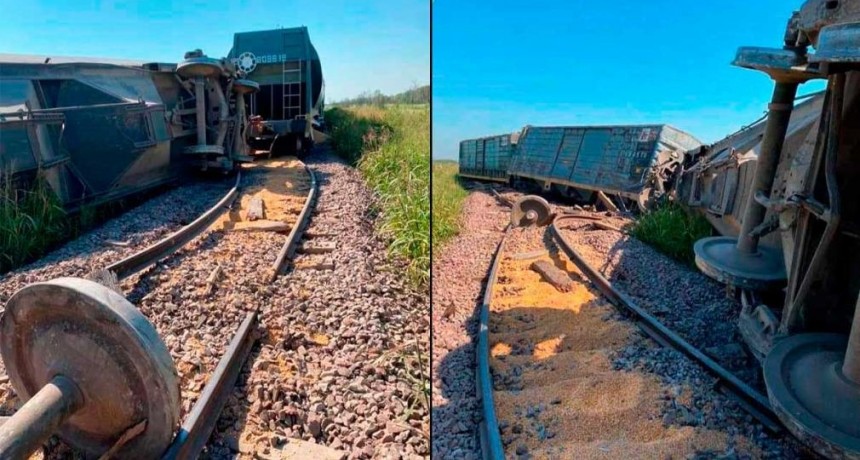 Descarrilaron 15 vagones de un tren de carga entre las estaciones Argentina y Malbrán