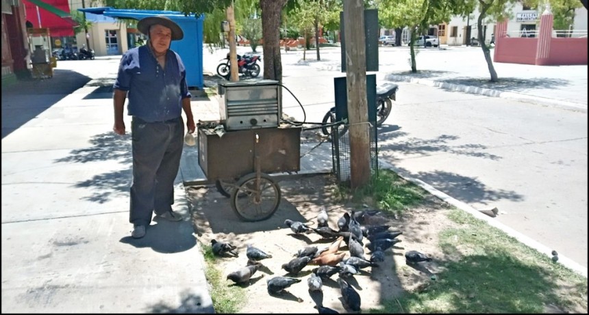 Tito, el encantador de Palomas 