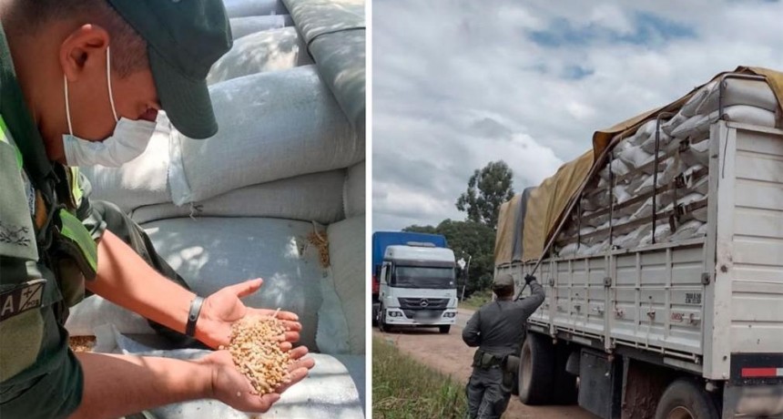 Salta: incautan 30 toneladas de soja sin aval legal a un camión que había salido desde Santiago del Estero