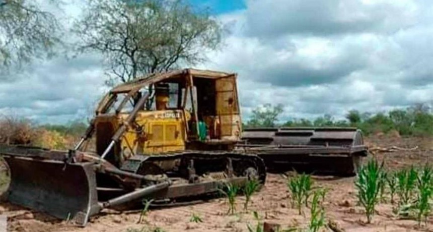 Secuestran maquinaria pesada en Tobas, en un desmonte ilegal 