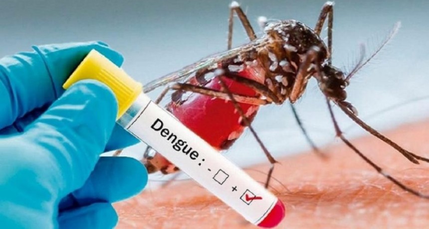 Los casos de dengue se están expandiendo en la zona norte de la Capital