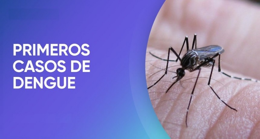 Los Telares, el primer caso de dengue del sur provincial