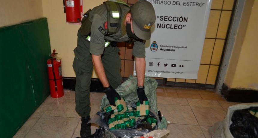 Gendarmería secuestró 1300 kilogramos de hoja de coca en el interior santiagueño