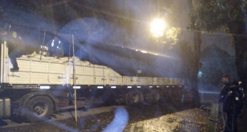 La curiosa carga que llevaba un camionero por la Ruta 34: Porotos y hojas de coca