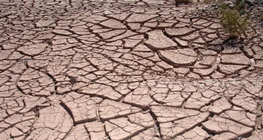 El Ministerio de Economía declara la emergencia agropecuaria en Santiago del Estero por la sequía