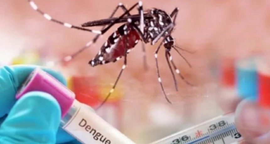 En santiago se registraron en una semana, un total de 2.443 nuevos casos de dengue 