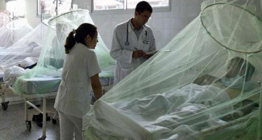 Salud confirmó más de 56.000 casos de dengue en gran parte del país