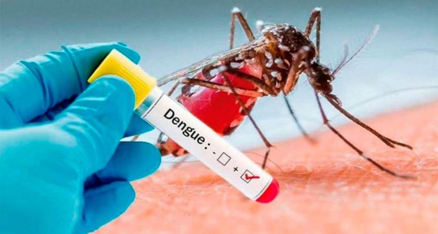 Con un total de 3.118 casos de dengue siguen en ascenso las infecciones en Jujuy