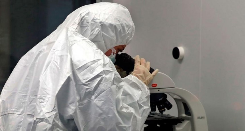 Estudian ocho casos sospechosos de hepatitis graves de origen desconocido en niños y niñas