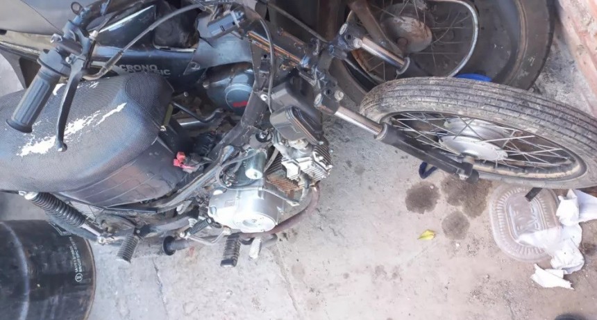 Allanaron casa y secuestraron moto, motopartes y plantas de marihuana