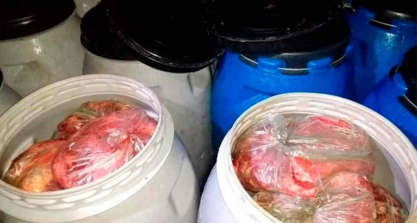 Decomisaron una importante cantidad de carne faenada clandestinamente en Choya