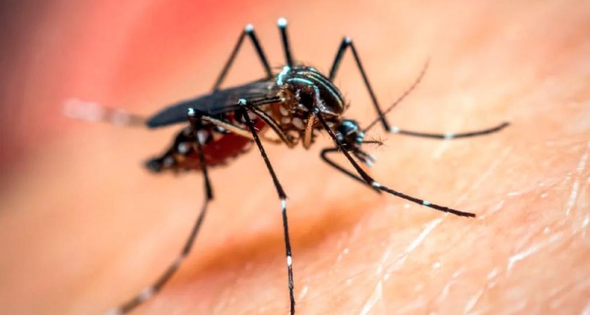 “Mucha gente queda con secuelas luego de tener dengue, sobre todo con dolores musculares