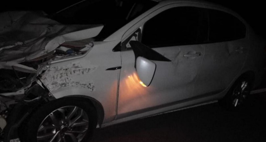 Tremendo susto por choque de auto con un animal vacuno