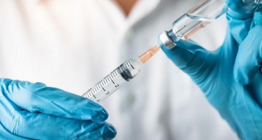 Investigador del Conicet y un paso histórico en la búsqueda de una vacuna contra la leishmaniasis