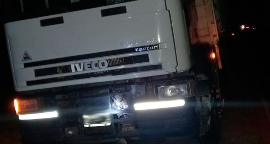 Camionero logra controlar su vehículo milagrosamente tras chocar un caballo suelto en Ruta 92