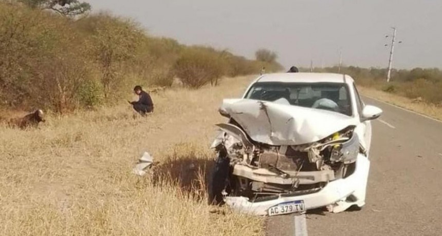 Cinco vacas provocan accidente en la ruta Nº 92 y dos personas salvan sus vidas en forma fortuita