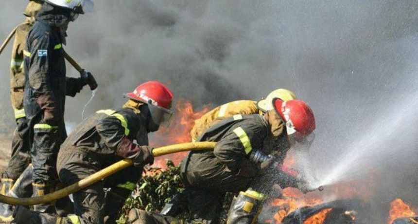 Preocupa la gran cantidad de incendios forestales recientes