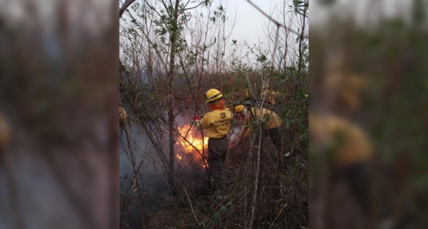 Detectan un incendio intencional cerca del Puente del Saladillo