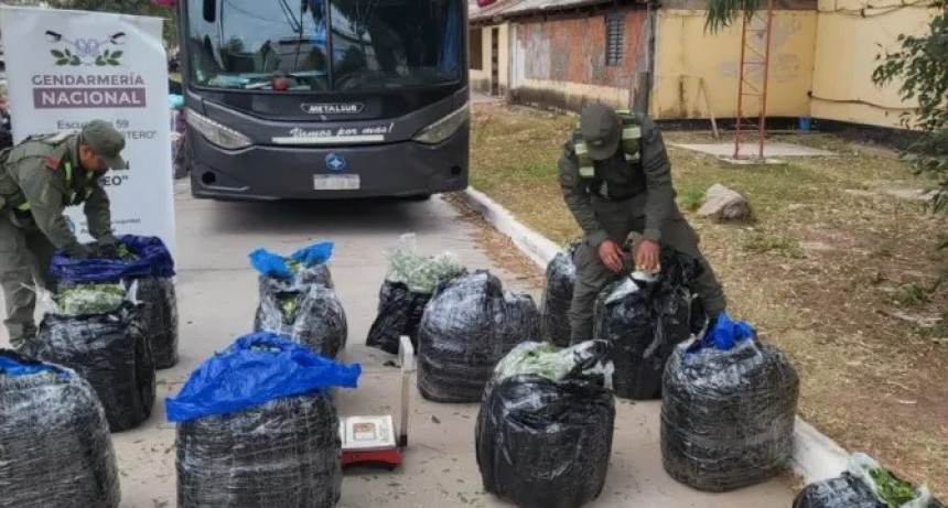 Secuestran 182 kg de hojas de coca en un Tour de Compras 