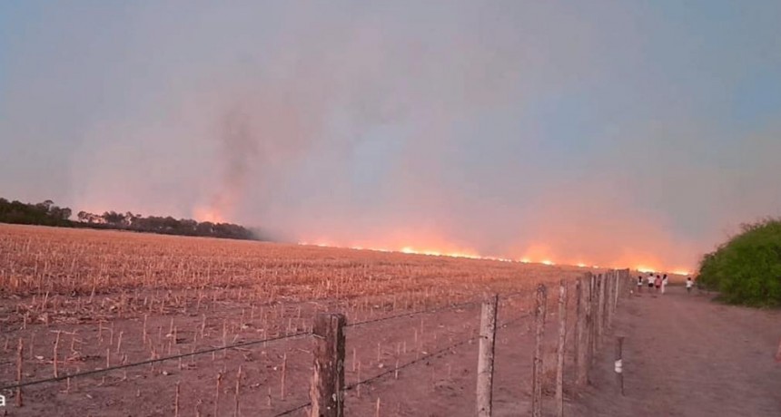 Incendio generó temor en vecinos de la zona rural del departamento Taboada