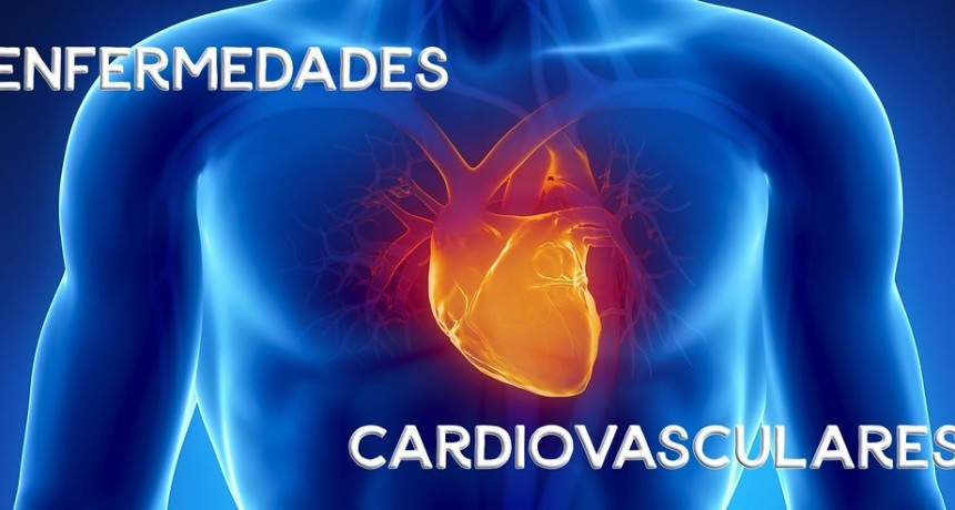 Alerta: cada vez  más jóvenes  presentan enfermedades cardiovasculares 