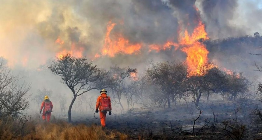 Incendios forestales: declararán zona de desastre agropecuario varias regiones de Córdoba